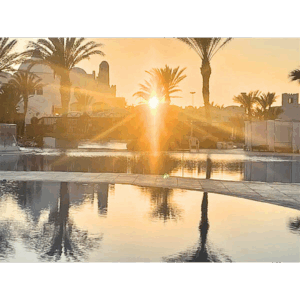 Orientalische Sonne – Palmenidylle im goldenen Abendlicht