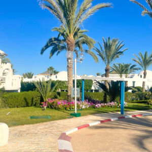 Verstecktes Paradies – Gartenblick im Robinson Bahiya
