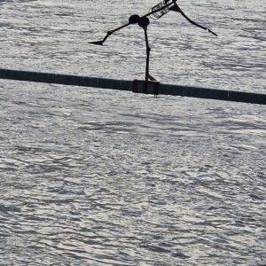 Strand bei Sonnenaufgang mit goldenem Glanz