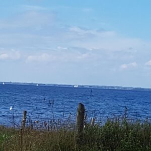 Blauer Ozean mit Segelbooten und Küstengras - Original Gemälde