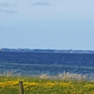 Segelboote vor Blumenwiese und Meer - Original Gemälde