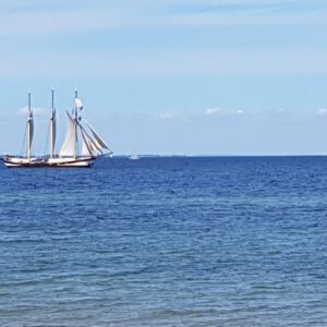 Segelschiff und Schwimmer im Blauen Ozean - Original Gemälde