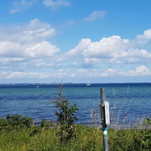 Küstenlandschaft mit Fahrradweg und Meer - Original Gemälde