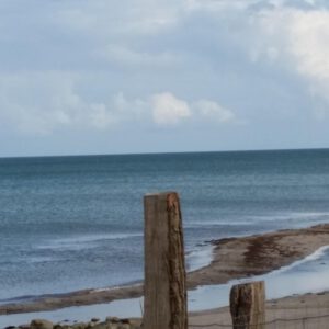 Küstenblick in Stille – Naturzaun am ruhigen Meeresufer