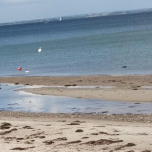 Farbtupfer am Meer – Bojen im ruhigen Küstenwasser