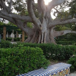 Wächter der Zeit – Der Baum und die Bank