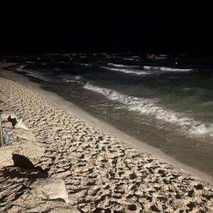 Nächtlicher Strand mit Wellenrauschen