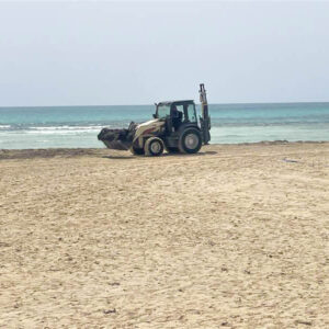 Bagger räumt angespülte Algen am Strand