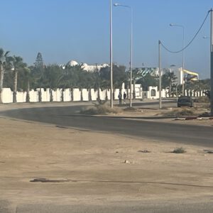 Wüstenstraße mit Palmen und Moschee