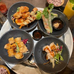 Asian Tapas Feast – Dim Sum & Spring Rolls Heaven