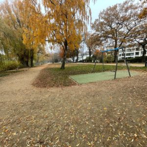 "Golden Autumn Swing – Peaceful Alster Lakeside Dream"