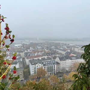 Hamburger Stadtpanorama vom Flakturm Humboldthain