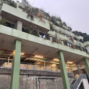 Grüner Riese über Hamburg: Der bepflanzte Flakturm mit Dschungeldach
