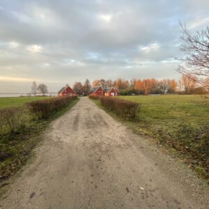 Ein stiller Weg, der zur Ruhe führt.