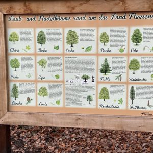 Eiszeitliche Geologie in Mecklenburg