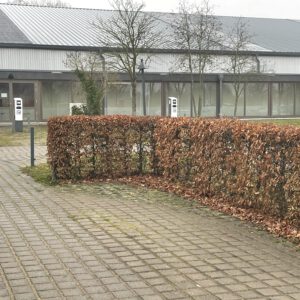 Ruhiger Weg zur modernen Sporthalle